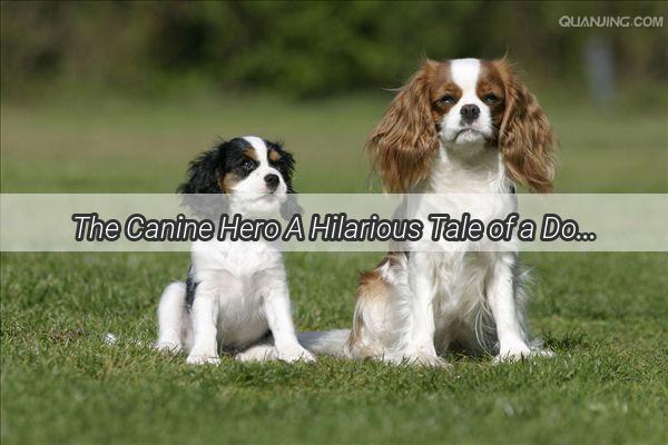 The Canine Hero A Hilarious Tale of a Dog Protecting Its Little Master